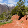 P1160962