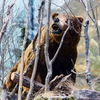 P1170021