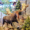 P1170030