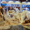 P1170039