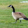 P1170173