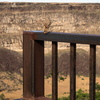 P5293393