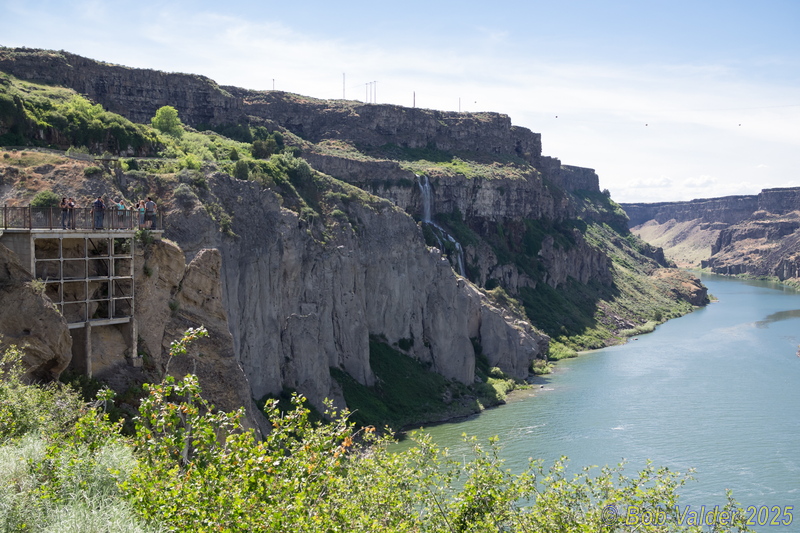 P5293291.jpg
