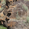P5293344