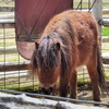 P1170484