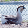 P1170496
