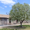 P1170497