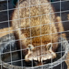 P1170501