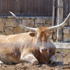 P1170506
