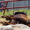 P1170507