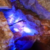 P1170611