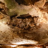 P1170630