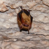 P1170640
