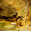 P1170656