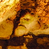 P1170662
