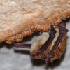 P1170664