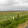 M7105994