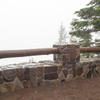 M7106009