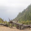 M7106043-Pano