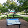 P1080639