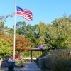 P1090908