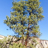 P1140358
