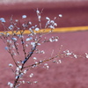 P1140366
