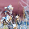 P1140367