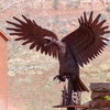 P1140500