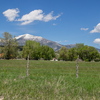 P5303422