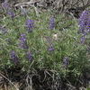 P5303428