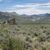 P5303431