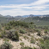 P5303434