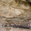P5303446