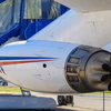 P1100234