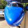 P1100238