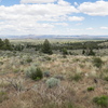 M7095959