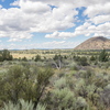 M7095961