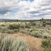 M7095972