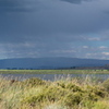 M7095979