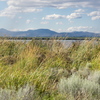 M7095980