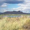 M7095981