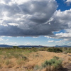M7095983