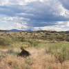 M7095984