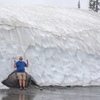 M7197664