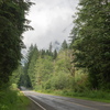 M7187484