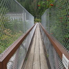 M7187582
