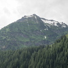 M7177387