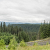 M7167070-Pano