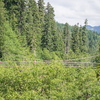 M7167096